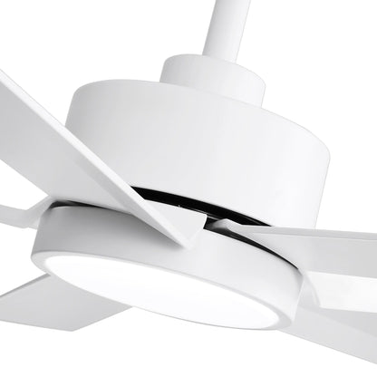 Breezary 65/52/42 5-Blade LED Ceiling Fan with Light Kit and Remote