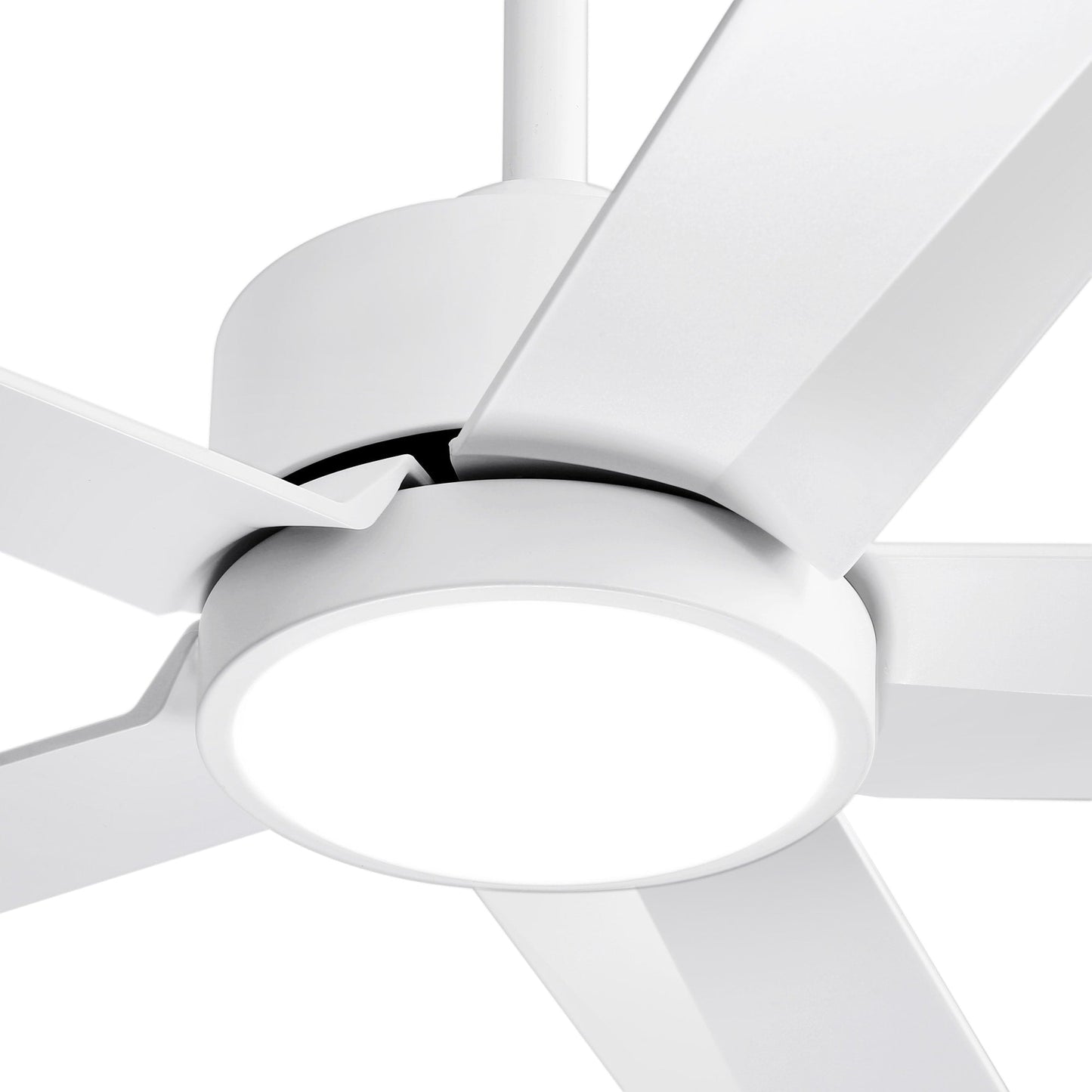 Breezary 65/52/42 5-Blade LED Ceiling Fan with Light Kit and Remote