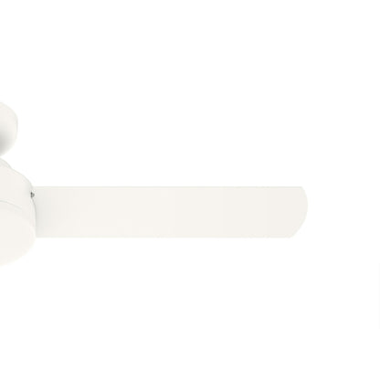 10' x 13' Steel Outdoor Pergola Gazebo, Patio Canopy with Drainage Holes for Backyard Pool Deck Garden