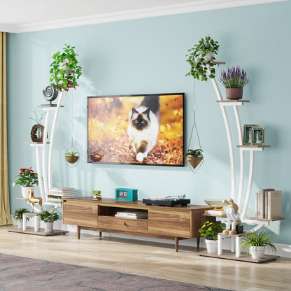 Indoor Plant Stand, 6-Tier Flower Rack for Home Garden- Set of 2