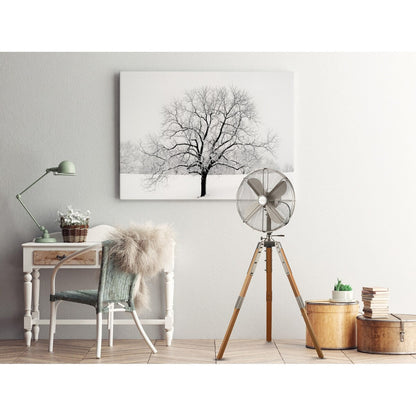 Star Fans Star Tripod 16-inch Stand Fan with Wooden Legs